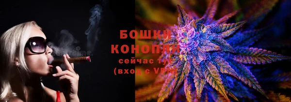 PSILOCYBIN Сатка
