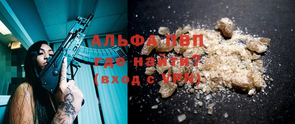 PSILOCYBIN Сатка