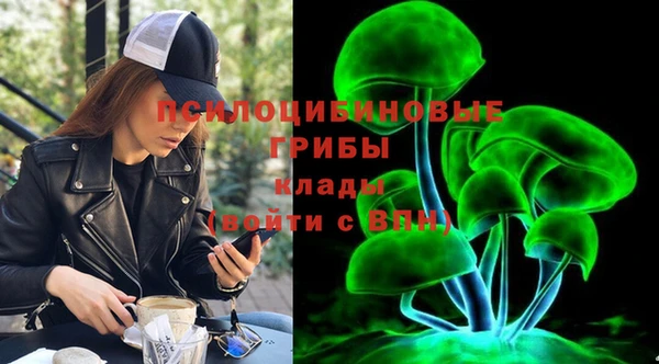 гидра Сафоново