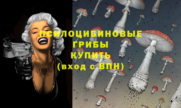 гидра Сафоново
