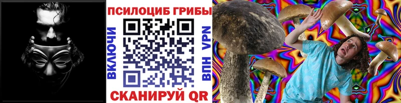 где продают наркотики  Весьегонск  Галлюциногенные грибы Magic Shrooms 